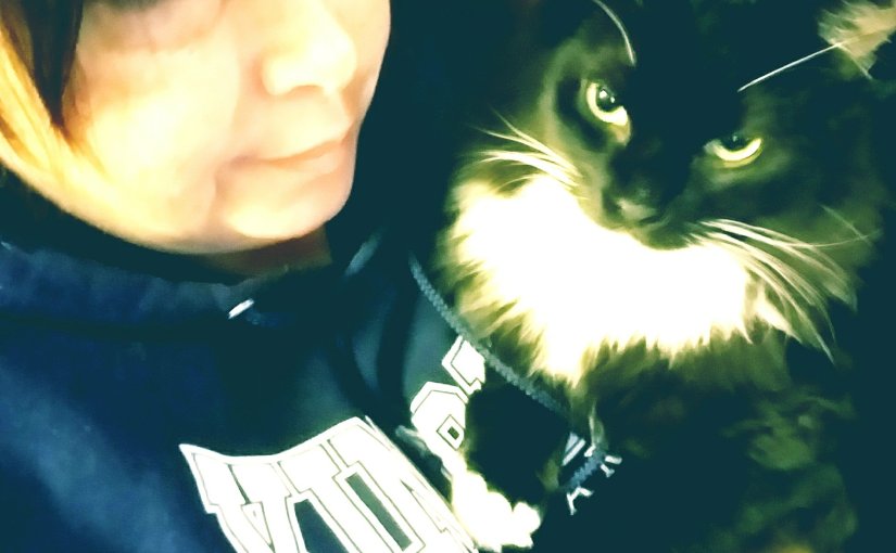 Why Your Cat Licks&nbsp;You…