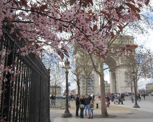 the most beautiful places in the spring 