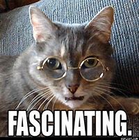 Birds~ Did You&nbsp;Know?