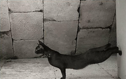 Morning Yoga Stretch&nbsp;Share