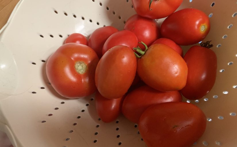 Mediterranean-Keto Effects on&nbsp;Cognition