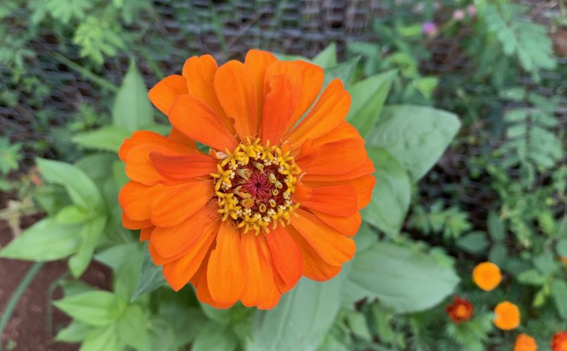 How To Clean According To The&nbsp;CDC