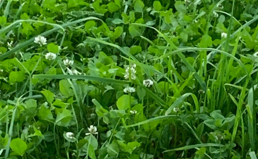 Old Friend, poem by&nbsp;MwsR