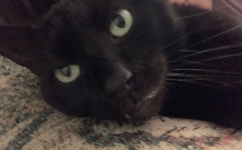 Everyday’s A Goodbye by&nbsp;MwsR