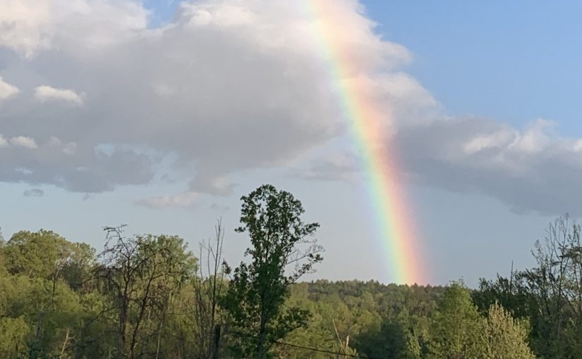 Famous Poem~ William&nbsp;Shakespeare