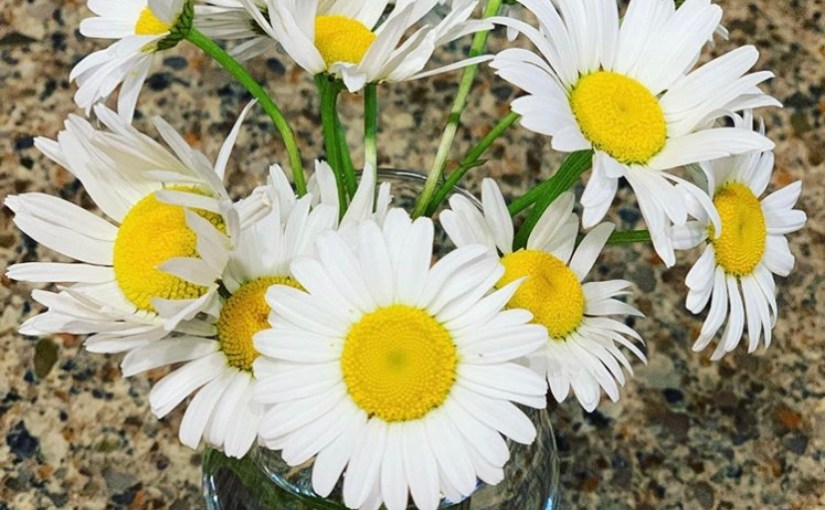 Happy Weekend To&nbsp;Y’all