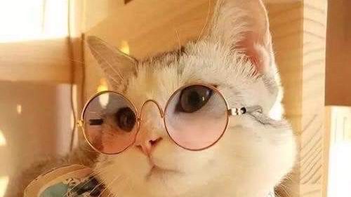 Word of the&nbsp;Week