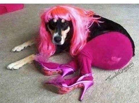 Air-Dry Your Hair…Here Is The How And&nbsp;Why