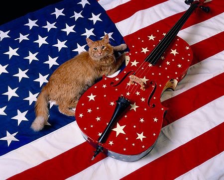 MwsRWritings ~Words for&nbsp;Thought