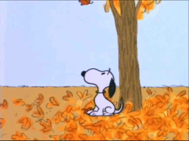 Charlie Brown Thanksgiving