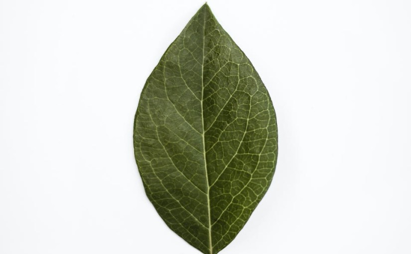 How To Get Rid Of Varicose Veins via&nbsp;Facebook